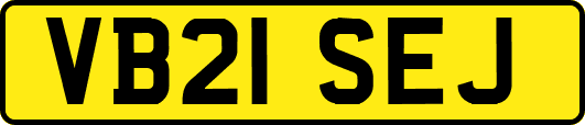VB21SEJ