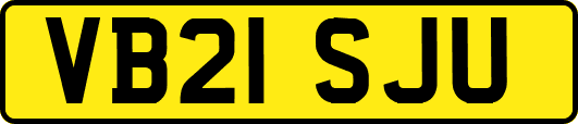 VB21SJU