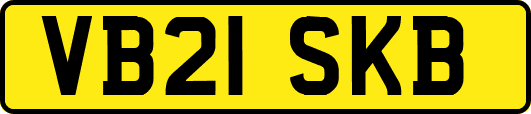 VB21SKB