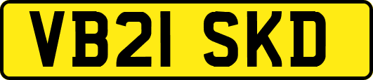 VB21SKD