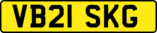 VB21SKG