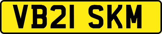 VB21SKM
