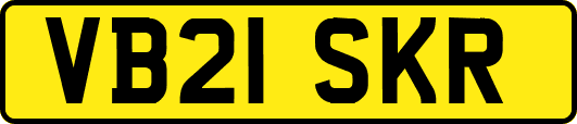 VB21SKR