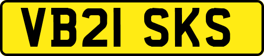 VB21SKS
