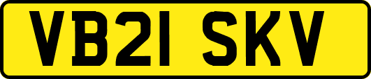 VB21SKV