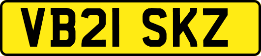 VB21SKZ