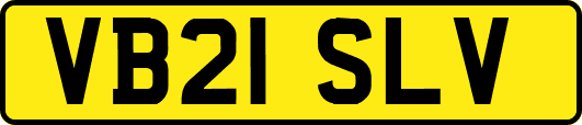 VB21SLV