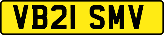 VB21SMV