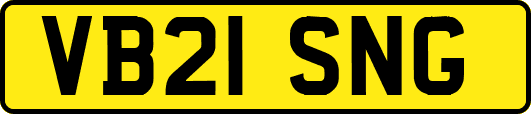 VB21SNG