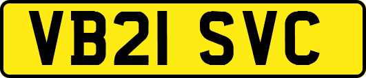 VB21SVC