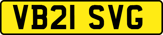 VB21SVG