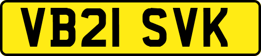 VB21SVK