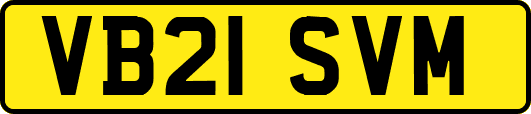 VB21SVM