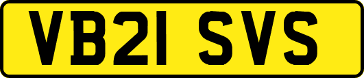 VB21SVS
