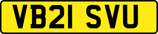 VB21SVU