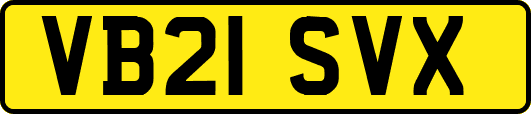 VB21SVX