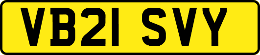 VB21SVY