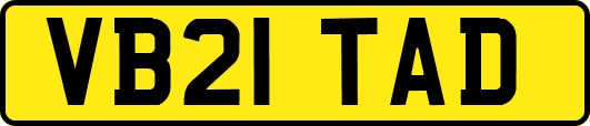VB21TAD