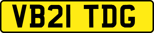 VB21TDG