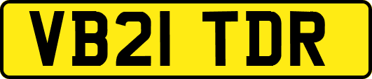 VB21TDR