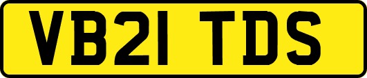 VB21TDS