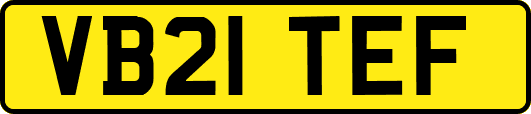 VB21TEF
