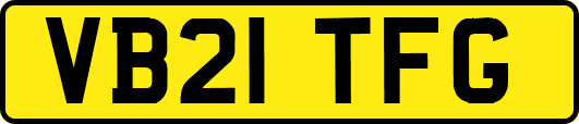 VB21TFG