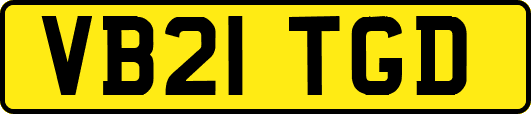 VB21TGD