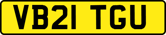 VB21TGU