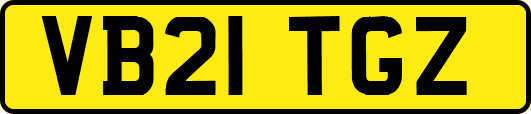 VB21TGZ