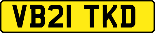 VB21TKD