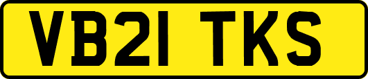 VB21TKS