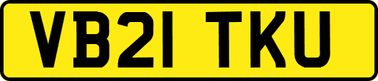 VB21TKU