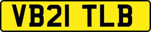 VB21TLB