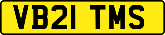 VB21TMS