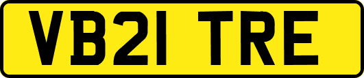 VB21TRE