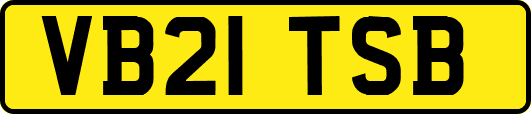 VB21TSB