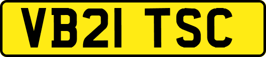 VB21TSC