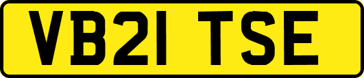 VB21TSE