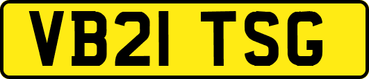 VB21TSG