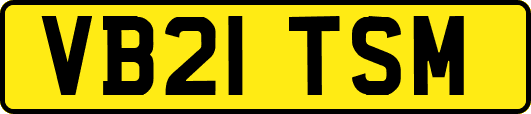 VB21TSM
