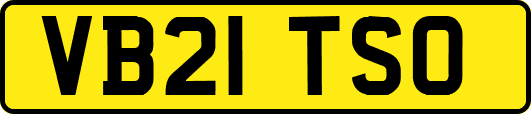 VB21TSO