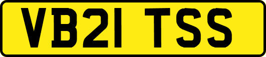 VB21TSS