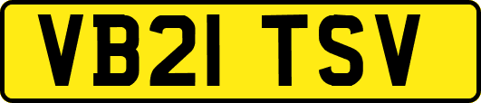 VB21TSV