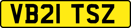VB21TSZ