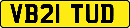 VB21TUD
