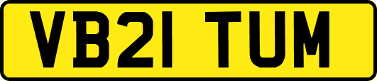 VB21TUM