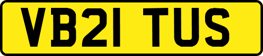VB21TUS
