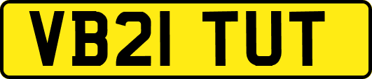 VB21TUT