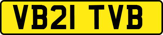 VB21TVB